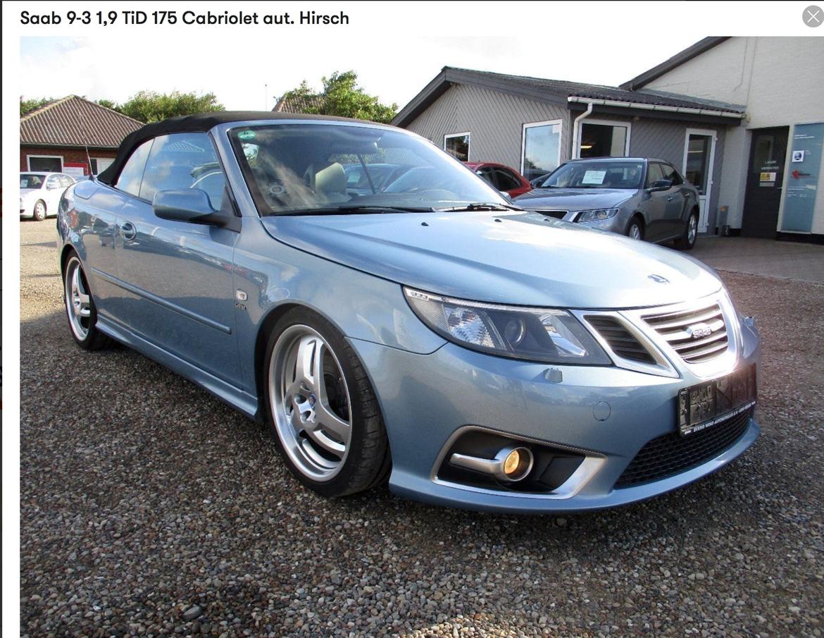 Saab 9-3 Cabriolet Hirsch "Bambi" billede 1