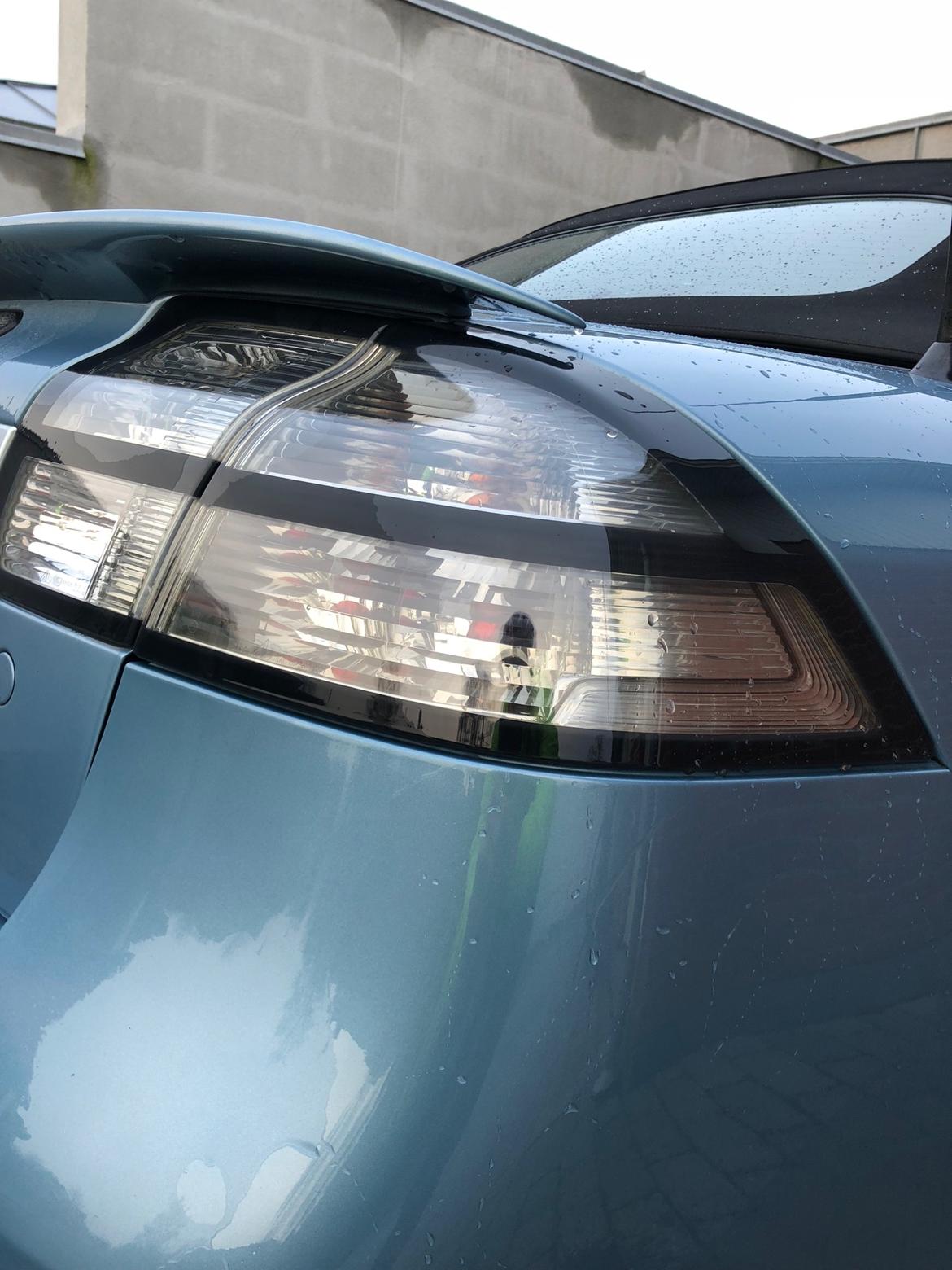 Saab 9-3 Cabriolet Hirsch "Bambi" billede 4