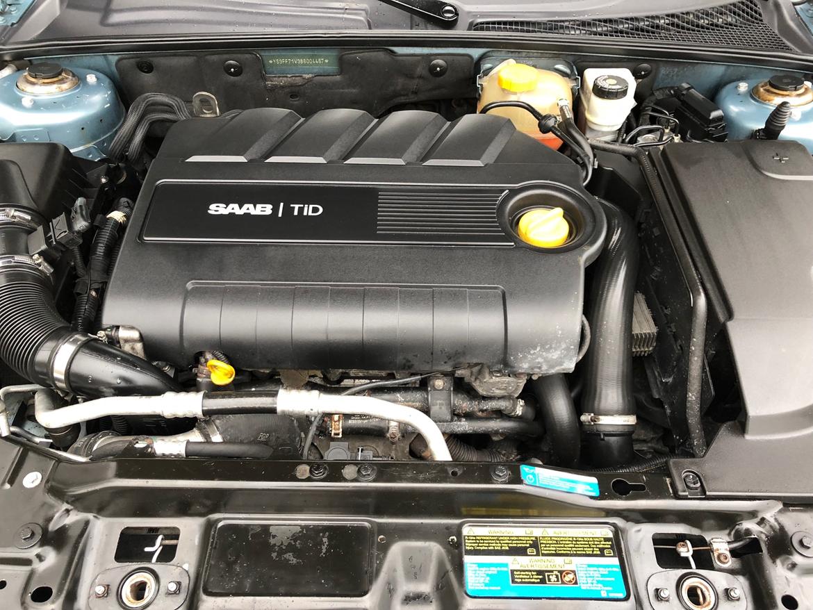 Saab 9-3 Cabriolet Hirsch "Bambi" billede 6