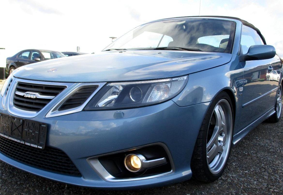 Saab 9-3 Cabriolet Hirsch "Bambi" billede 2