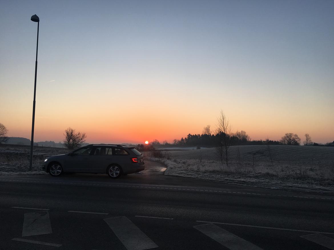 Skoda Octavia RS245 DSG billede 6