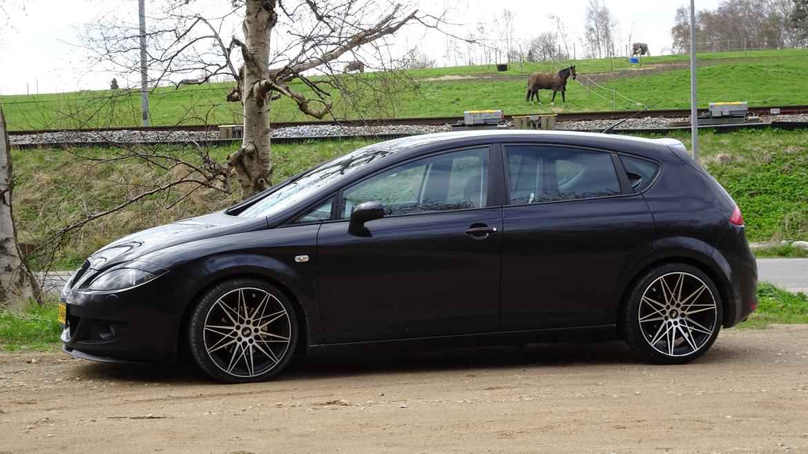 Seat Leon   billede 5