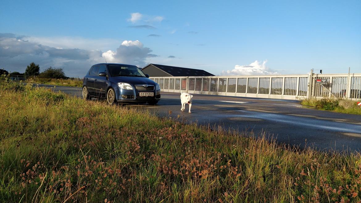 Skoda Fabia  billede 11