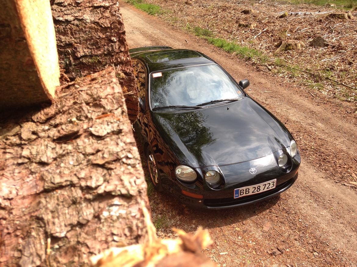 Toyota Celica 1.8 AT200 (T20) billede 1