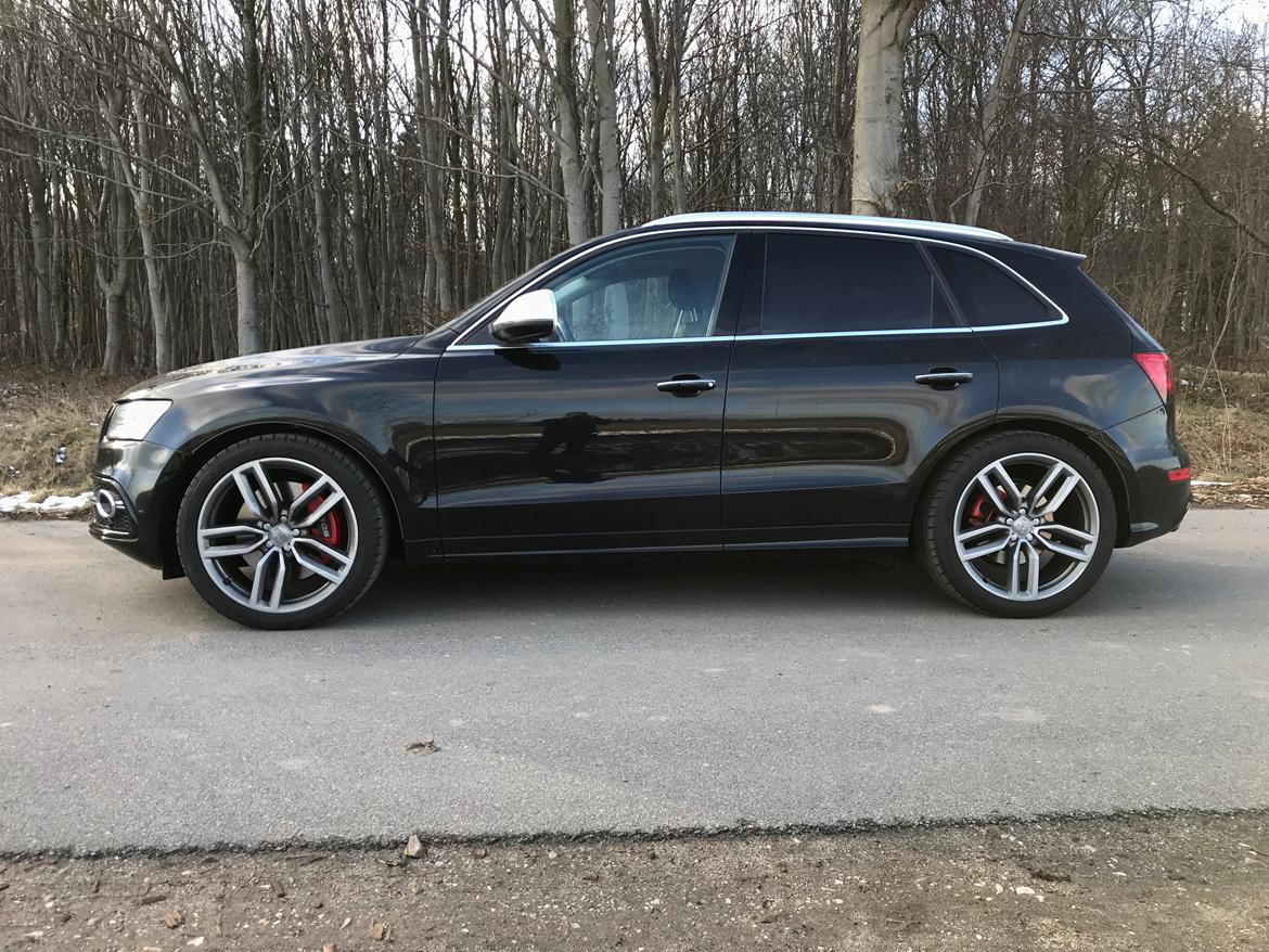 Audi SQ5 BiTDI V6 billede 1