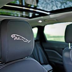 Jaguar F-Pace. "Drivers Edition"