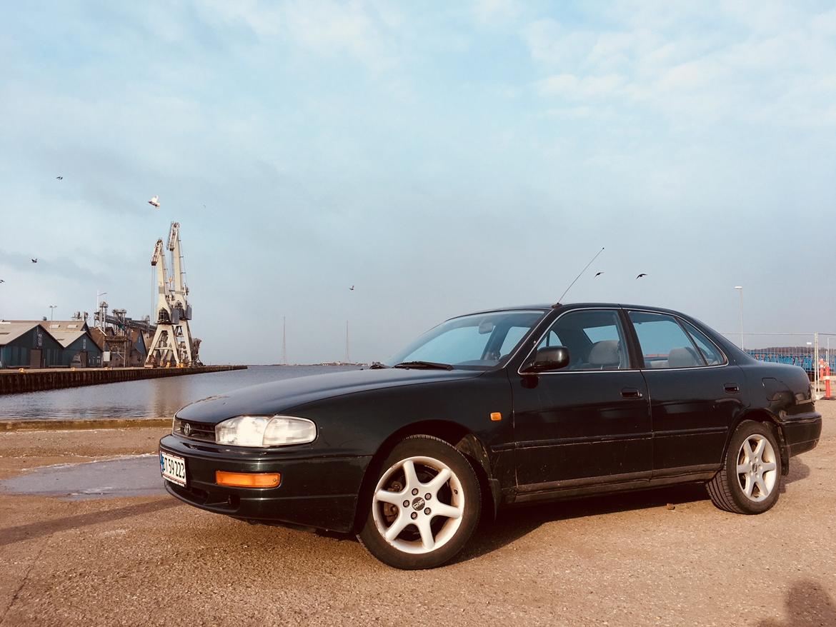 Toyota Camry VX10 - Susie billede 1