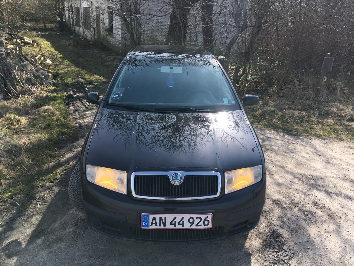 Skoda Fabia 1,9 TDI 141HK billede 2