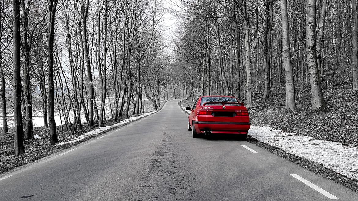 Alfa Romeo [SOLGT] 155 2.0 TS DTM billede 7