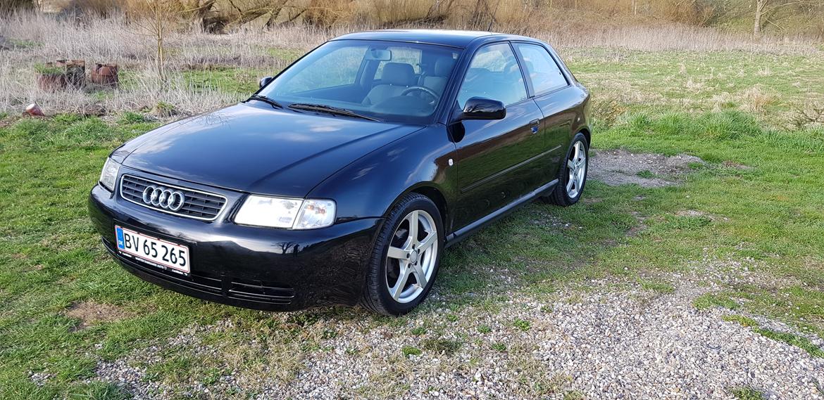 Audi A3 8l "Solgt" billede 5