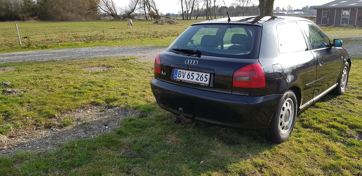 Audi A3 8l "Solgt" billede 7