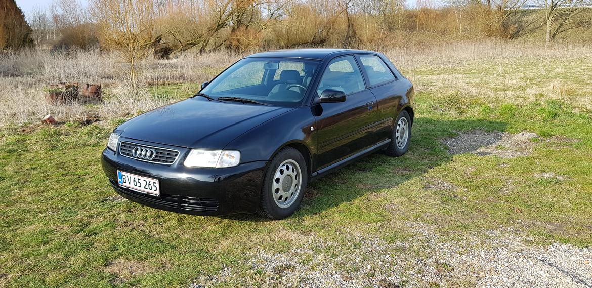 Audi A3 8l "Solgt" billede 6