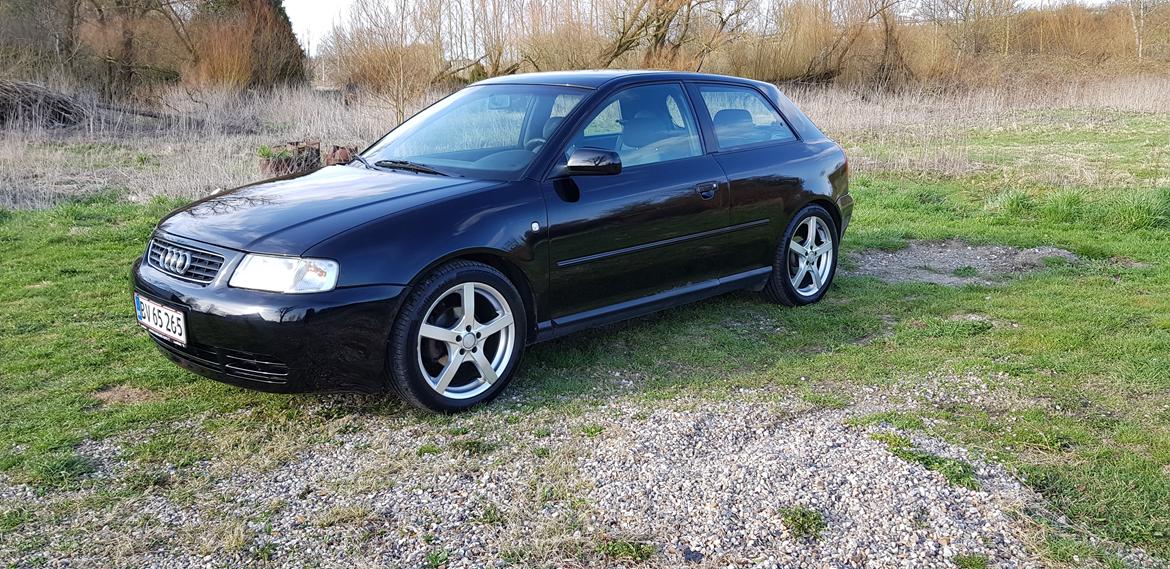 Audi A3 8l "Solgt" billede 4