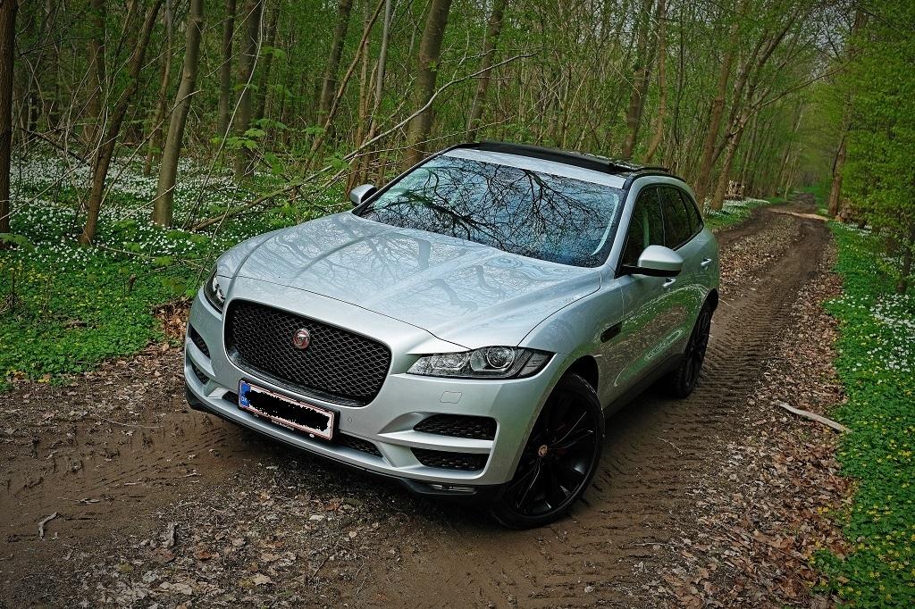 Jaguar F-Pace. "Drivers Edition" billede 13