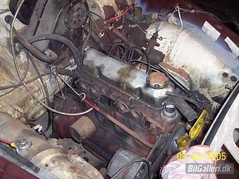 Volvo 121 quick amazon billede 15