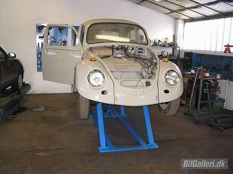 VW Bobbel billede 1