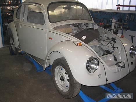 VW Bobbel billede 5
