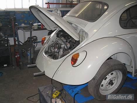 VW Bobbel billede 7