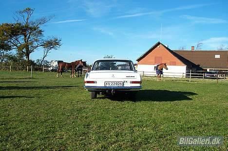Opel Rekord billede 14