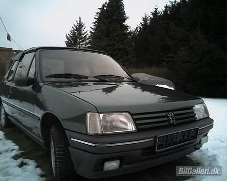 Peugeot 205 Roland Garros. Cab. billede 19