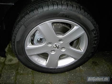 Peugeot 307 billede 17