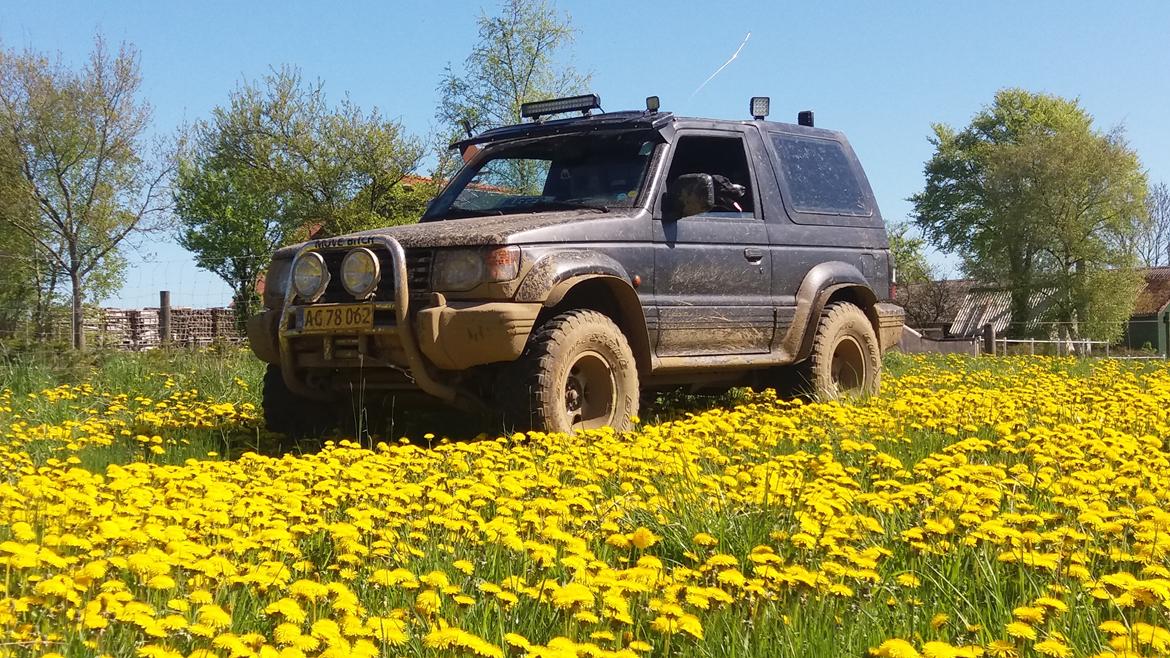 Mitsubishi pajero V 6 3.0 pick up Move Bitch 4x4 billede 12