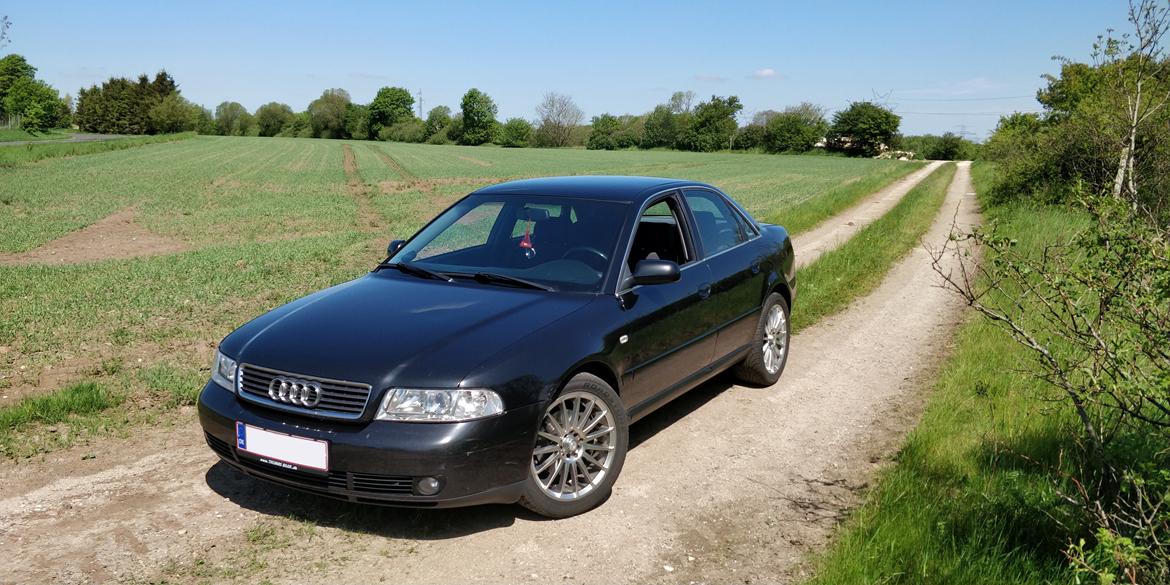 Audi A4 B5 Limousine billede 2