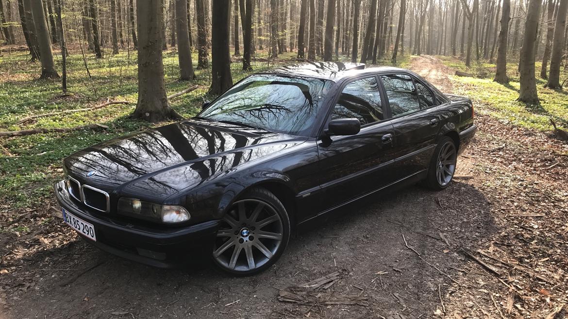 BMW E38 - Individual - 4.4i V8 billede 9