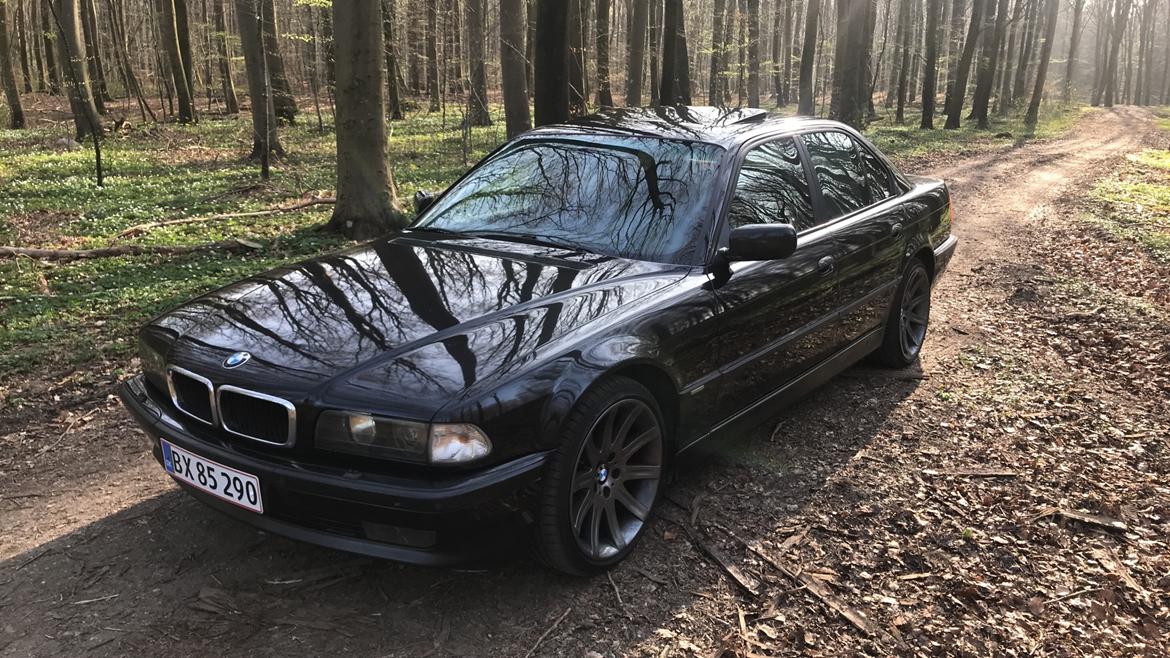 BMW E38 - Individual - 4.4i V8 billede 13