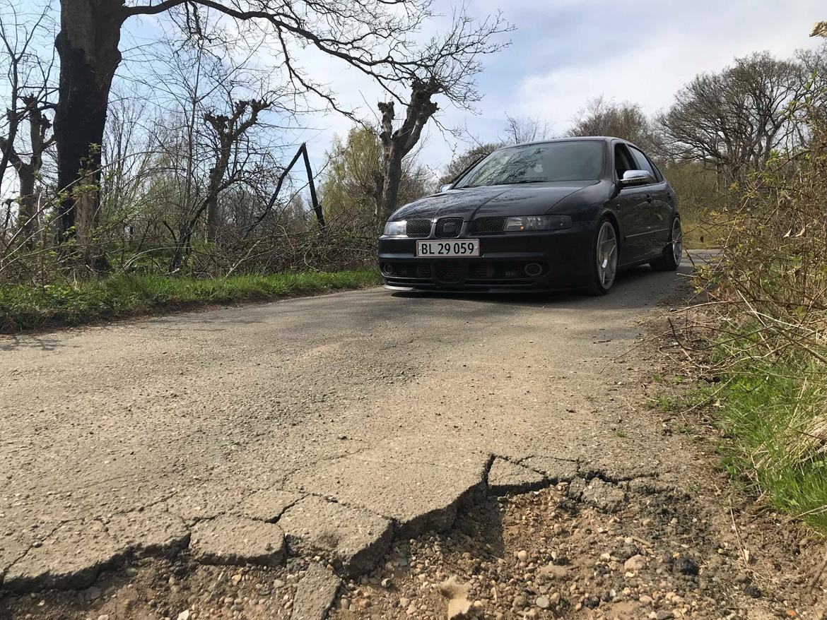 Seat Leon 1M Sport billede 3