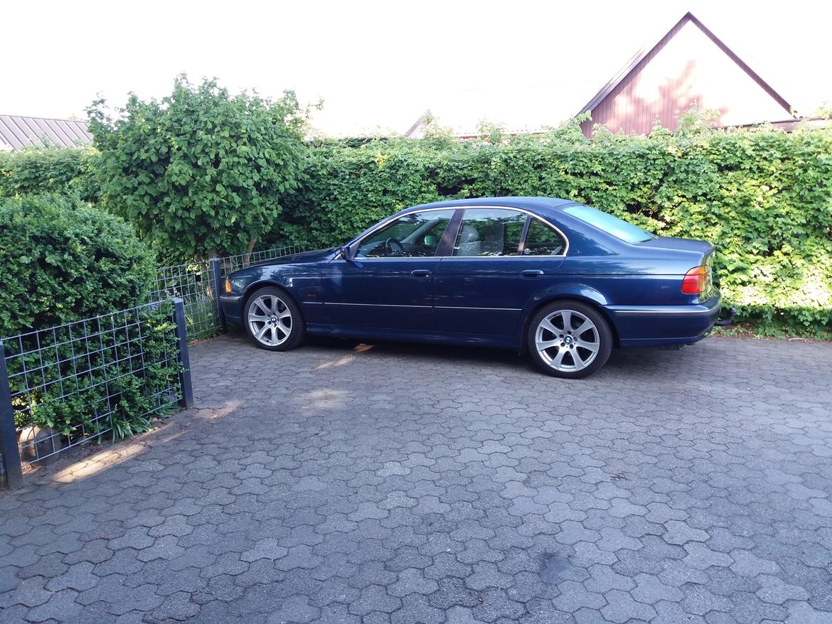 BMW 528i e39 billede 12