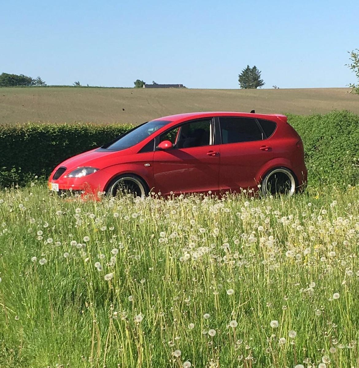 Seat Altea 1,9 TDI "SOLGT"  billede 7