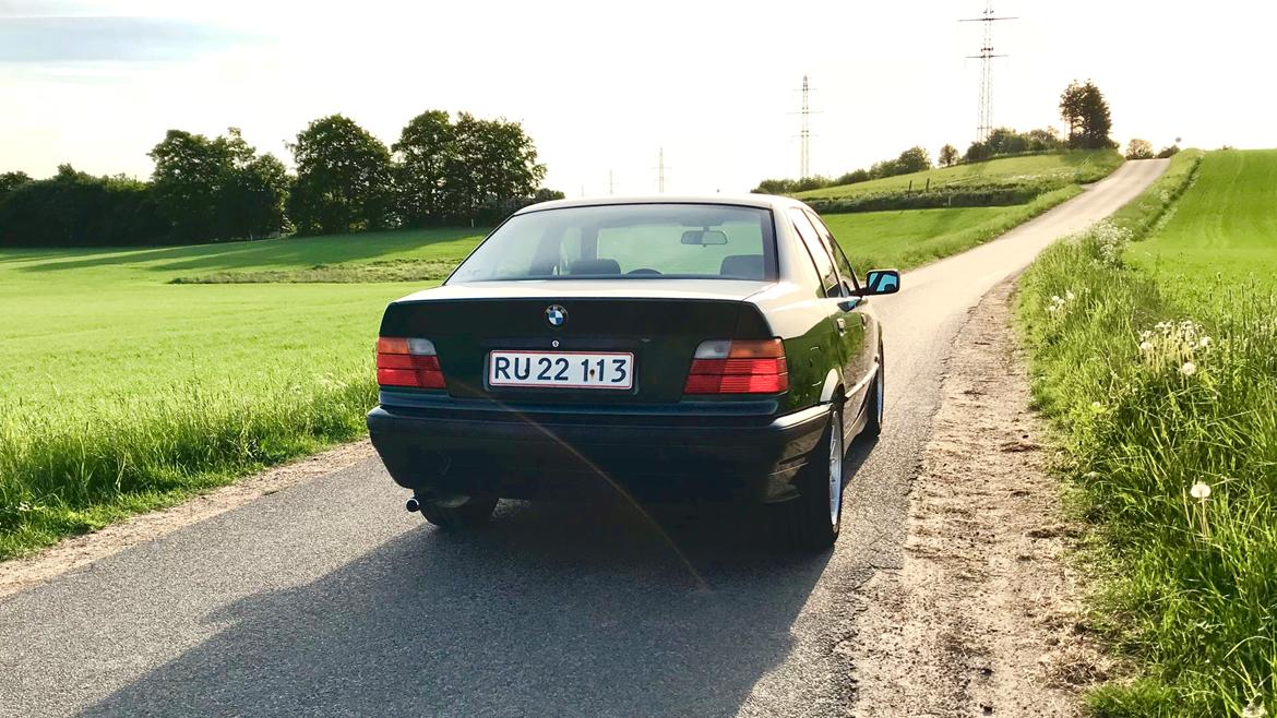 BMW 316i E36 billede 14