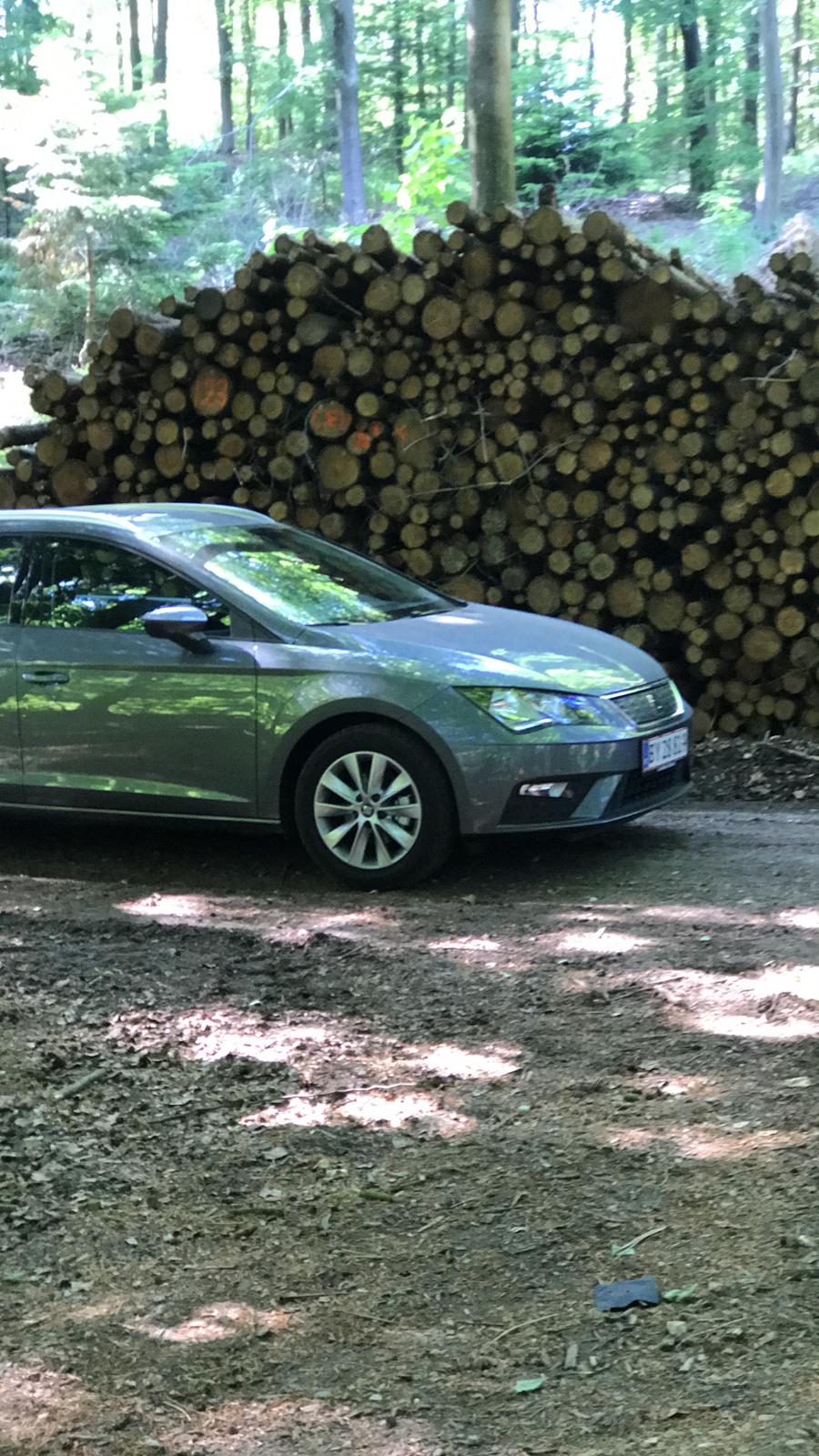 Seat Leon ST 1.0 115HK billede 10