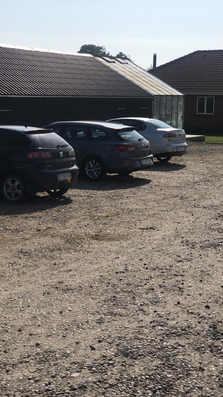 Seat Leon ST 1.0 115HK billede 11