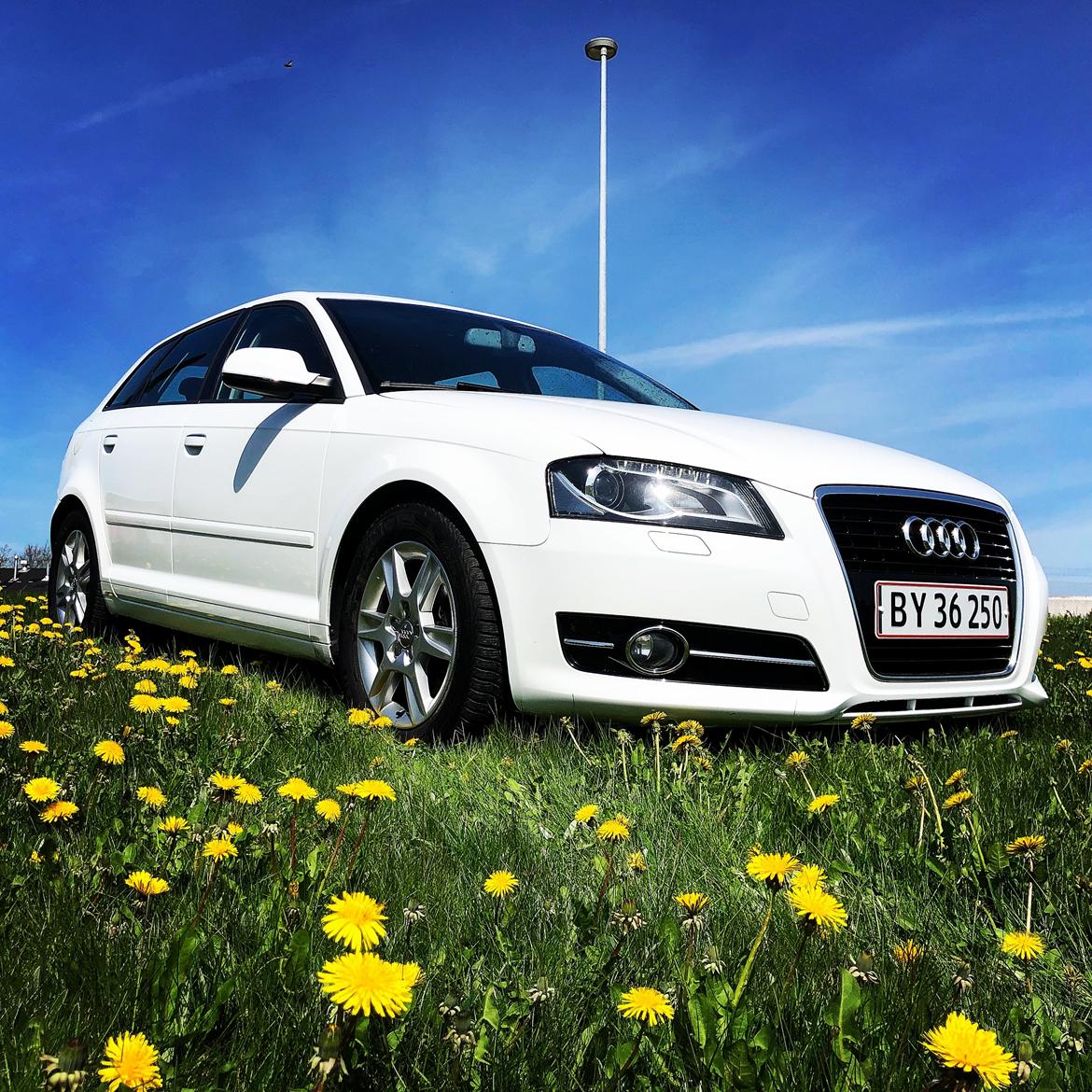 Audi A3 SPORTSBACK 2.0 TDI billede 3