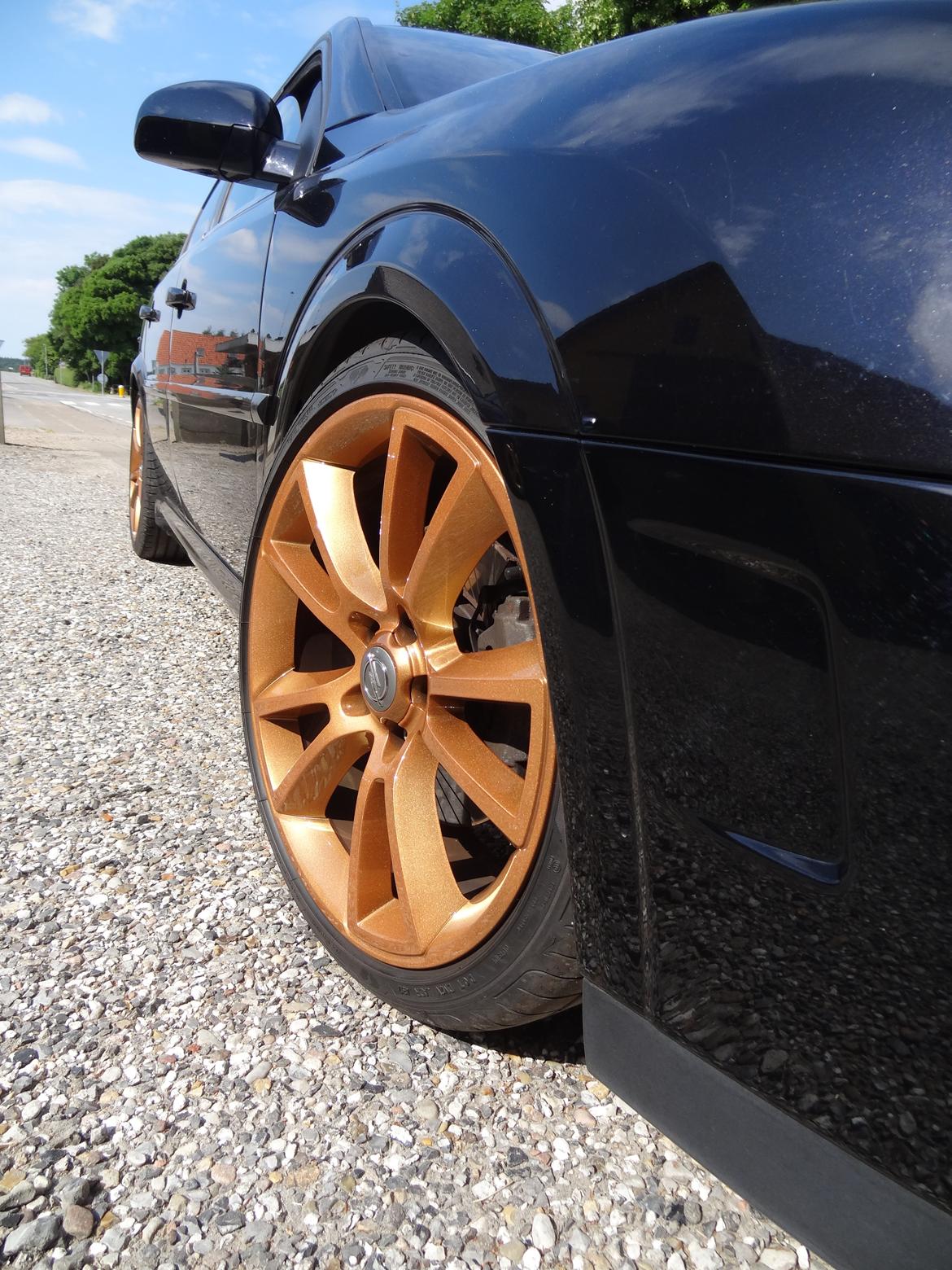 Opel Vectra C GTS billede 10