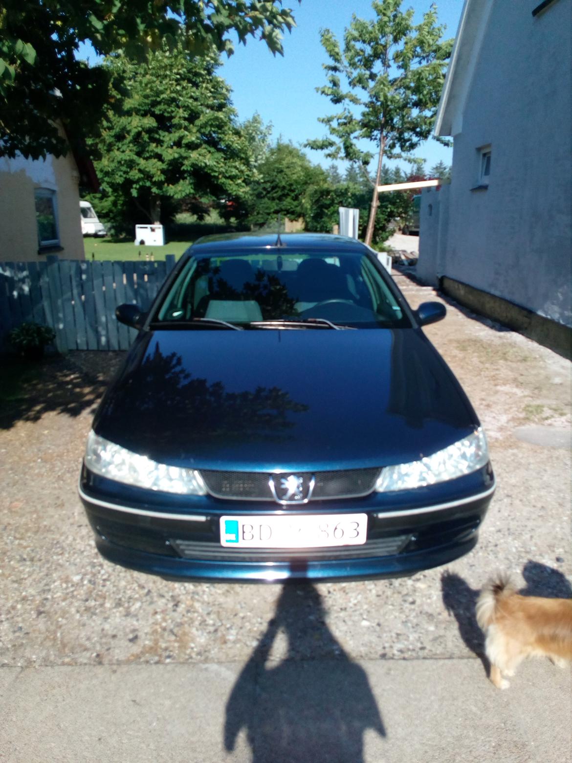 Peugeot 406 billede 3