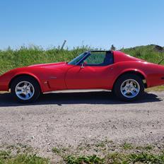 Chevrolet Corvette C3 6.2 V8 Coupe Stingray