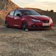 Seat Ibiza 6J