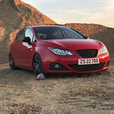 Seat Ibiza 6J