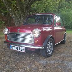 Rover Mini