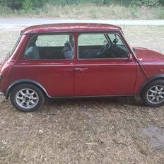 Rover Mini