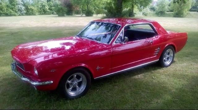 Ford Mustang 289/302 billede 1