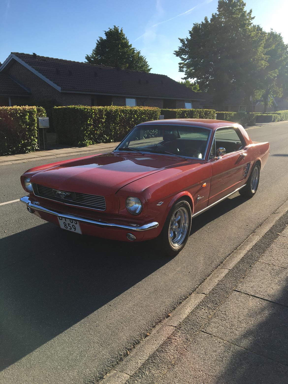 Ford Mustang 289/302 billede 11