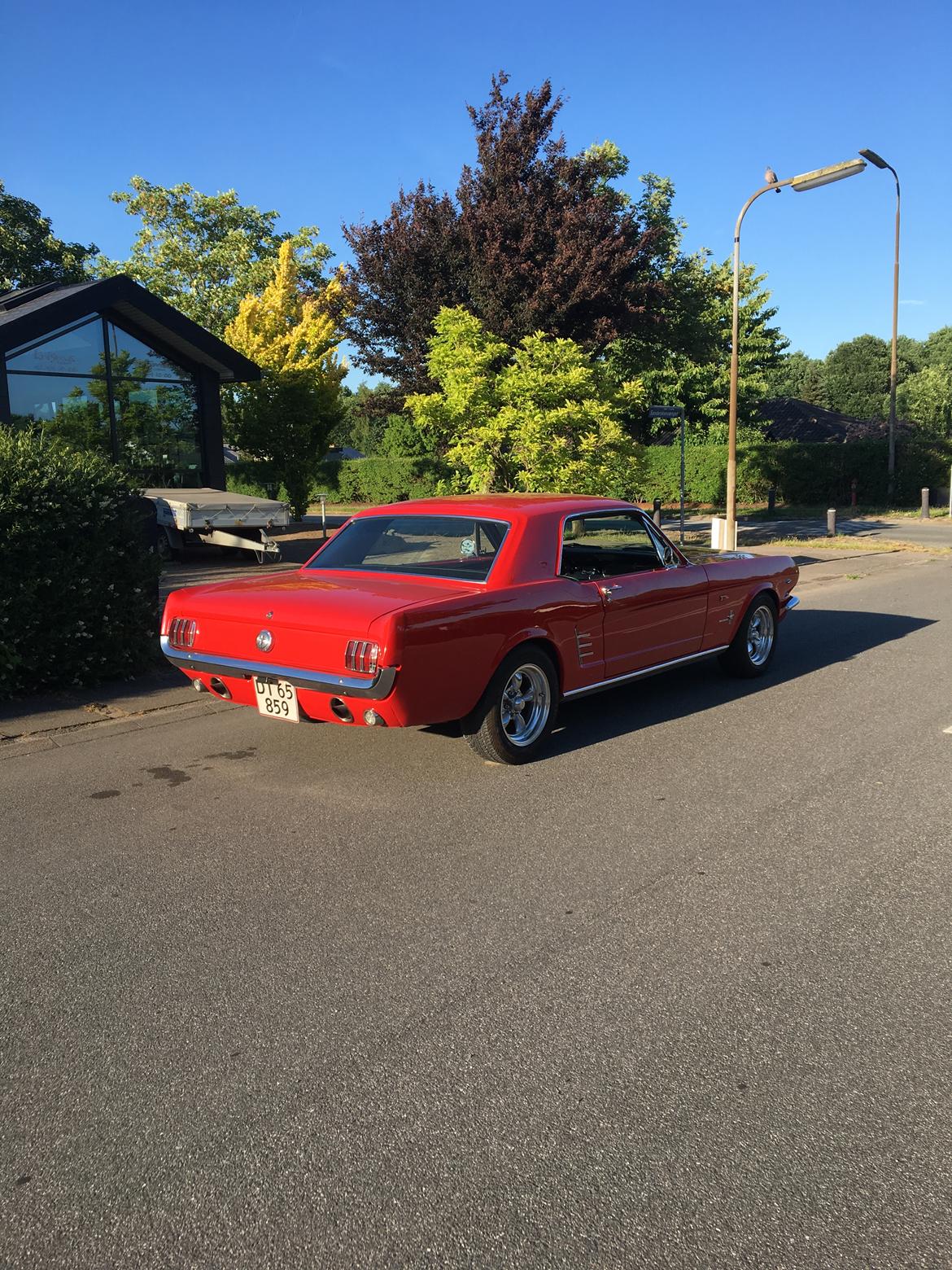 Ford Mustang 289/302 billede 13