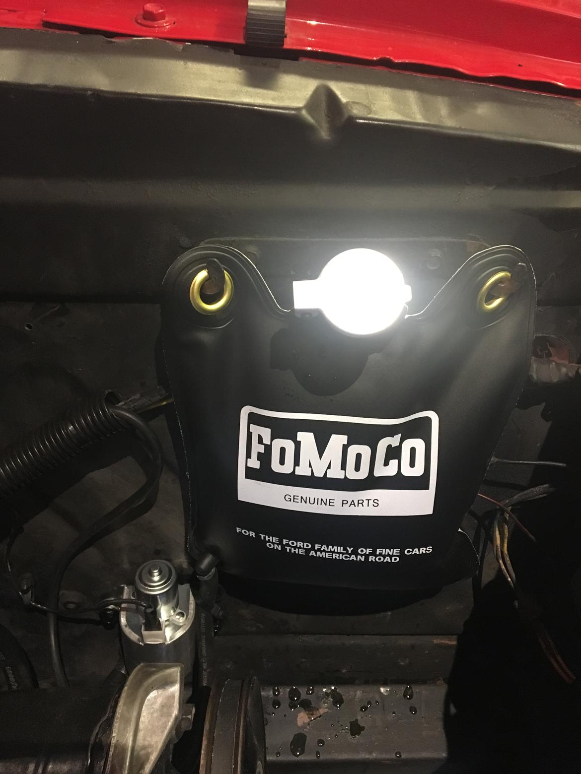 Ford Mustang 289/302 billede 15