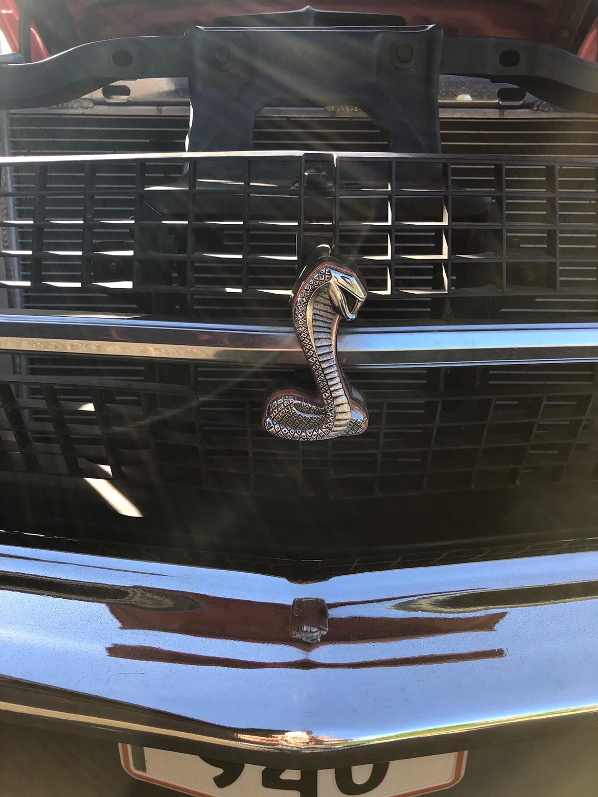 Ford Torino Cobra billede 20