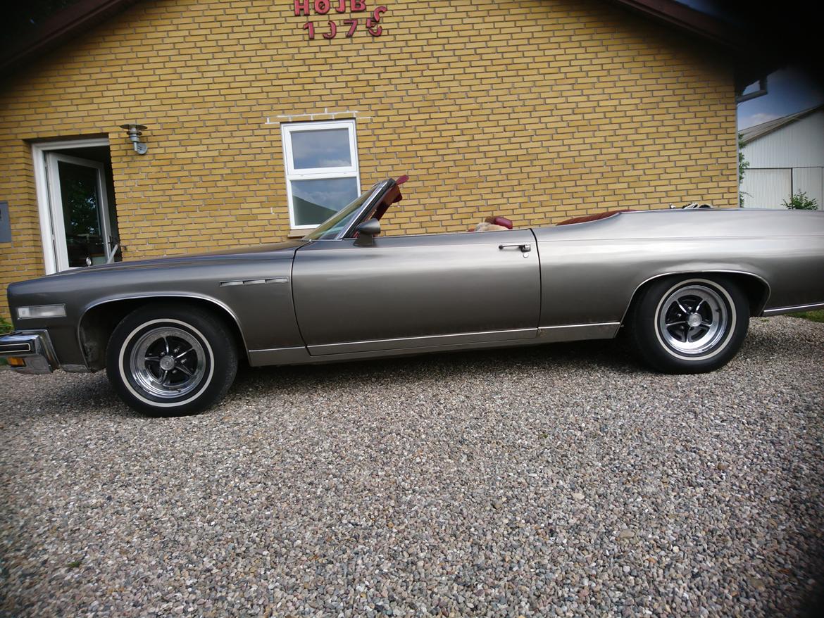 Buick Le Sabre Costum billede 3