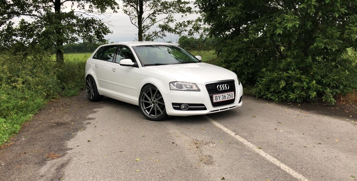 Audi A3 SPORTSBACK 2.0 TDI billede 11
